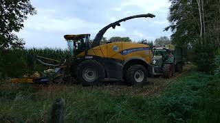 Loonwerken Eylenbosch mais hakselen met New Holland FR 780 [upl. by Bruner]