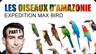 LES OISEAUX DAMAZONIE  Expédition Max Bird  Le Bilan  partie 1 [upl. by Linnell889]