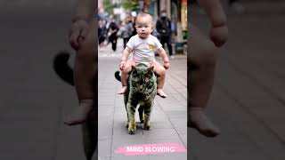 Baby Laughing Hysterically at Cat  MUST SEE funny comedyvideos viralvideo comedy [upl. by Esnahc]