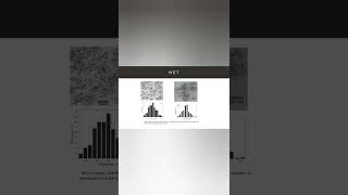 Hidrogenação de olefinas por nanoparticulas de rutênio [upl. by Eixel13]