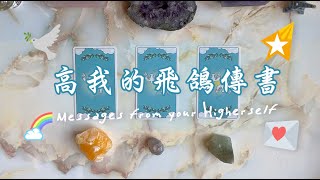 🔮塔羅占卜🕊 高我的飛鴿傳書 💌｜目前能量場檢測、高我指引訊息｜TIMELESS [upl. by Sad819]