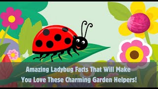 Why Do Ladybugs Have Spots Discover 10 Fun Facts [upl. by Kavanaugh788]