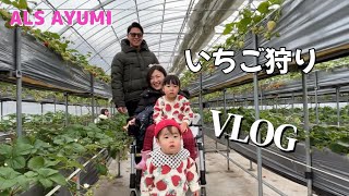 いちご狩り🍓VLOG [upl. by Ainomar717]