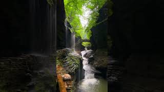 Watkins Glen State Park Upstate New York Cinematic [upl. by Phila]