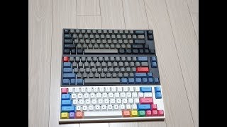 LEOPOLD FC660M PD Cherry MX Red Brown Blue [upl. by Raynor65]