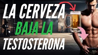 ¿La Cerveza Realmente Afecta La TESTOSTERONA [upl. by Collis425]