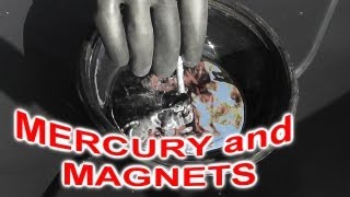 Is Mercury Hg attracted to MAGNETS [upl. by Ibmab]