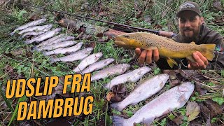 VANVITTIG TUR TIL ÅEN  DER VAR FISK OVERALT  NATURNØRD 634 [upl. by Aba]