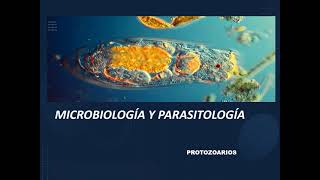 MICROBIOLOGÍA Y PARASITOLOGÍA  PROTOZOARIOS INTESTINALES Y UROGENITALES [upl. by Adnawat]