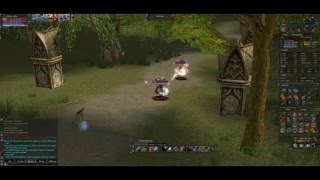 Cheburashka L2Old School Solo pvps  siege L2Gold [upl. by Eldreda]