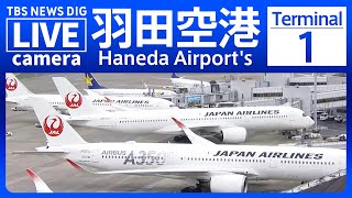 【ライブ】羽田空港 第1ターミナルのライブカメラ 現在の様子は？Haneda Airports Terminal 1 TBS NEWS DIG [upl. by Ledba]