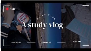 A study vlogSouth African youtuber grade 10 [upl. by Oilicec]