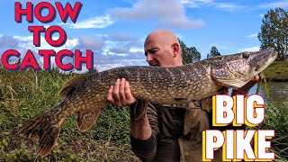 how to catch big Pike  Pike fishing UK [upl. by Fransisco]