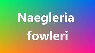 Naegleria fowleri  Medical Meaning and Pronunciation [upl. by Honniball]