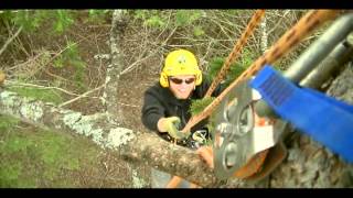 Installing a Barred Owl Nesting Box [upl. by Aikan]