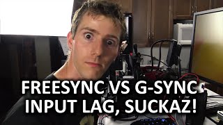 FreeSync vs GSync Input Lag Comparison [upl. by Penhall276]