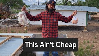 Offsetting the Cost to Homestead  4 Week Meat Bird Update [upl. by Ivz838]