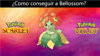 Como conseguir a Bellossom en Pokemon Escarlata y Purpura DLC [upl. by Aehtrod]