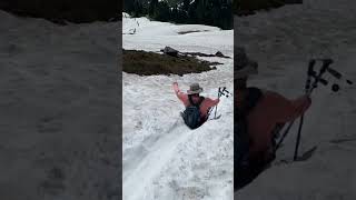 Mt Rainier Skyline Loop Trail Hike Along the Trail events 2 Shorts [upl. by Mamoun]