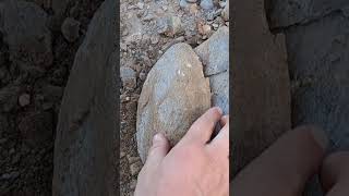 Rock foliation Metamorphic rock [upl. by Aninay]