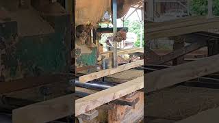 Meranti kuning wood carpentry bandsaw woodworking [upl. by Woermer]