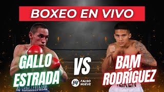 GALLO ESTRADA VS BAM RODRIGUEZ EN VIVO  BOXEO EN DIRECTO  PREVIA Y PELEA 🔴🔥 [upl. by Fritze]