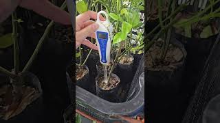 Blue Lab Soil pH tester [upl. by Nevsa]