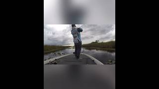 Froggin’ in the Glades floridaeverglades bassfishing largemouthbass drewsguideservice miami [upl. by Rikki]