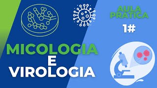 Micologia e Virologia AULA PRÁTICA 1 [upl. by Nikolai]