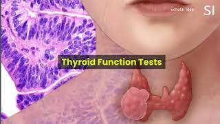 Thyroid Function Tests [upl. by Aneladdam]