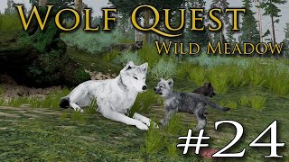 Hidden SECRETS at the New Forest Den 🐺 WOLF QUEST WILD MEADOW • 24 [upl. by Salamanca]