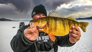 Ice Fishing the BIGGEST PERCH In North America [upl. by Johppa975]