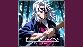 The Sound Hashira  Tengen Uzui Theme from quotDemon Slayerquot [upl. by Knuth]