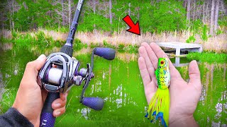 Catching GIANT Bass w FROGS Bank Fishing [upl. by Lizzy469]