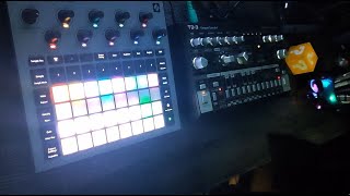 Novation Circuit Rhythm vs TD3 by INKORREKT  Hard Acid Trance  Tekno [upl. by Mace]