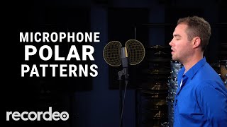 Microphone Polar Patterns Demonstrated  Recordeo [upl. by Meingoldas182]