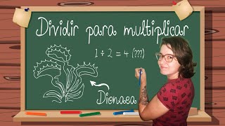 COMO MULTIPLICAR SUAS DIONAEAS [upl. by Ursala]