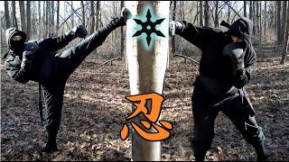 NINJA TREE BOXING 2024 [upl. by Rramel]