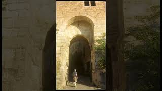 Cordes sur Ciel un des plus beaux village de France plusbeauvillagedefrance cordessurciel [upl. by Neahs]