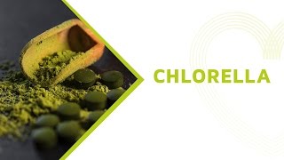 Chlorella Health Benefits Everything You Should Know About this Superfood [upl. by Herby]