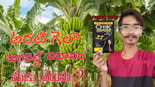 Only 1 Rupee Bananas ripening at home [upl. by Osithe]