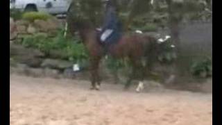 Bridle Lameness horse training [upl. by Landan704]