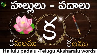 HALLULU PADALU  How to Write Telugu hallulu With WORDS  learn telugu words  Telugu vanam [upl. by Walker]