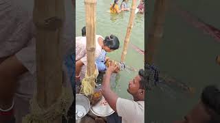 TRIBENI SANGAM PUJA AND BATHING AT PRAYAGRAJ [upl. by Ednyl]