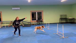 AGILITY SKILLS WEEK 21 [upl. by Adlen]