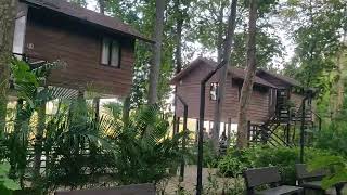 ambapani eco tourism camp site nature calm beauty naturelover [upl. by Fowler]