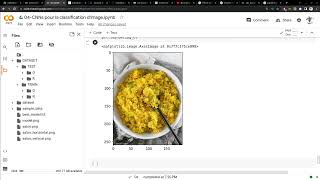 Vidéo 98160  Tensorflow  Charger les Images avec ImageDataGenerator [upl. by Gapin]