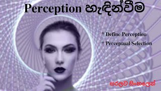 Perception හැඳින්වීම Introduction to Perception  සිංහල [upl. by Heymann]