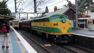 Steam locomotive 3801 amp Class 42 passing Erskineville [upl. by Nylram]