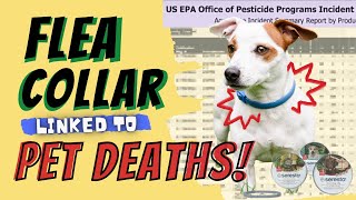 1700 Pet Deaths from Flea Collar [upl. by Woehick]